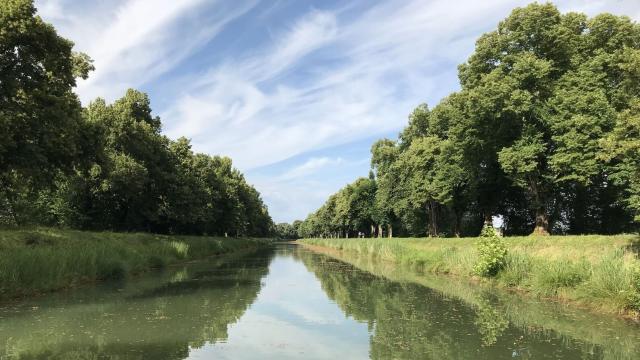 ©montaubantourisme Canal De Montech