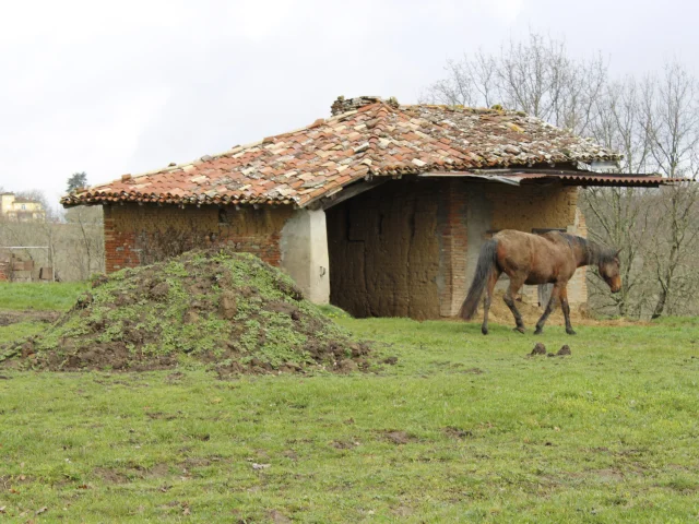 Patrimoine Randonnees Pr1@montaubantourisme 26