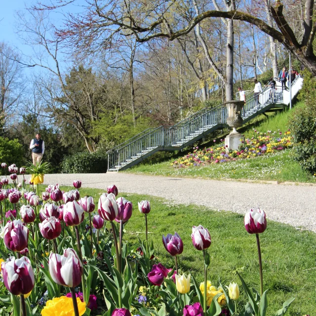 Patrimonio Jardindesplantes@montaubantourisme 22 Rotación