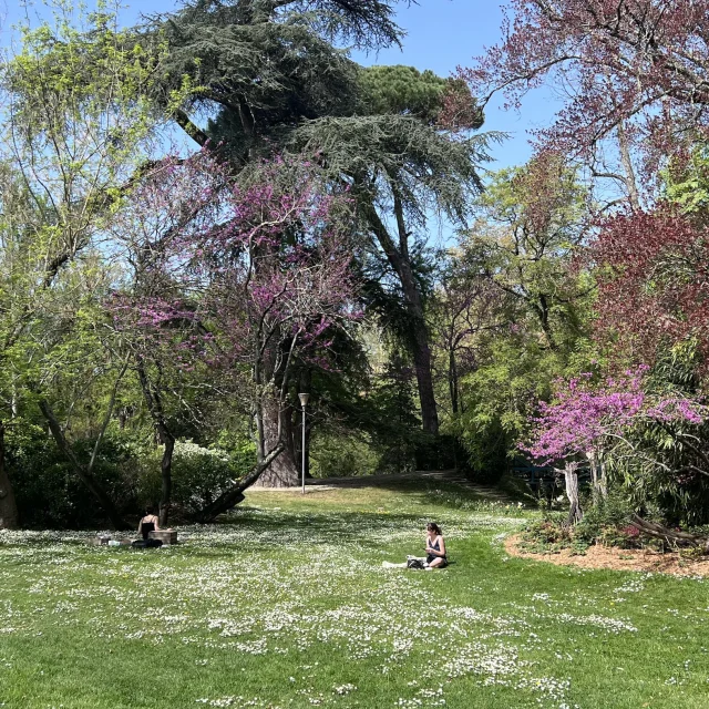 Patrimoine Jardindesplantes@montaubantourisme 4