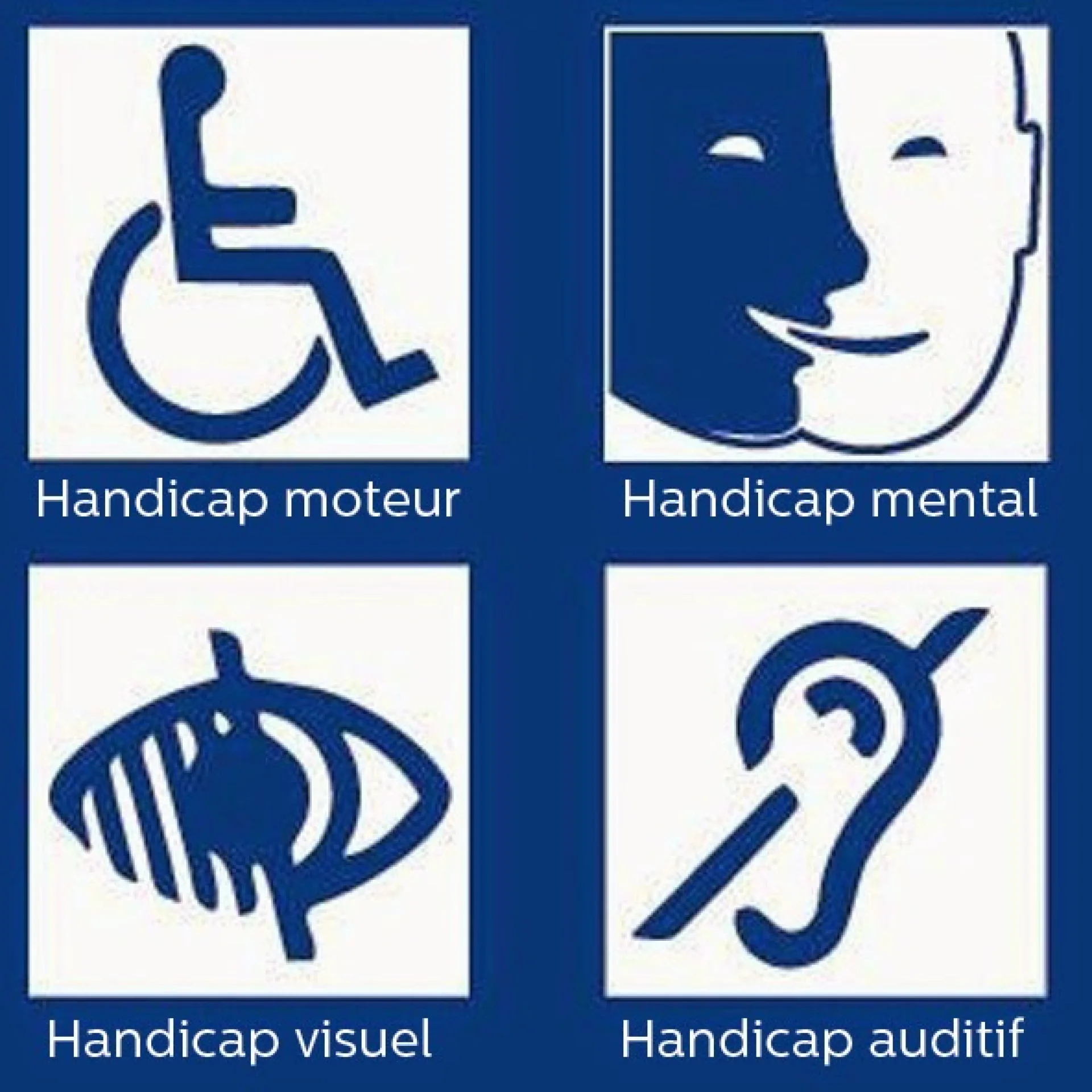 Accessibilite Pictogrammes Signaletique